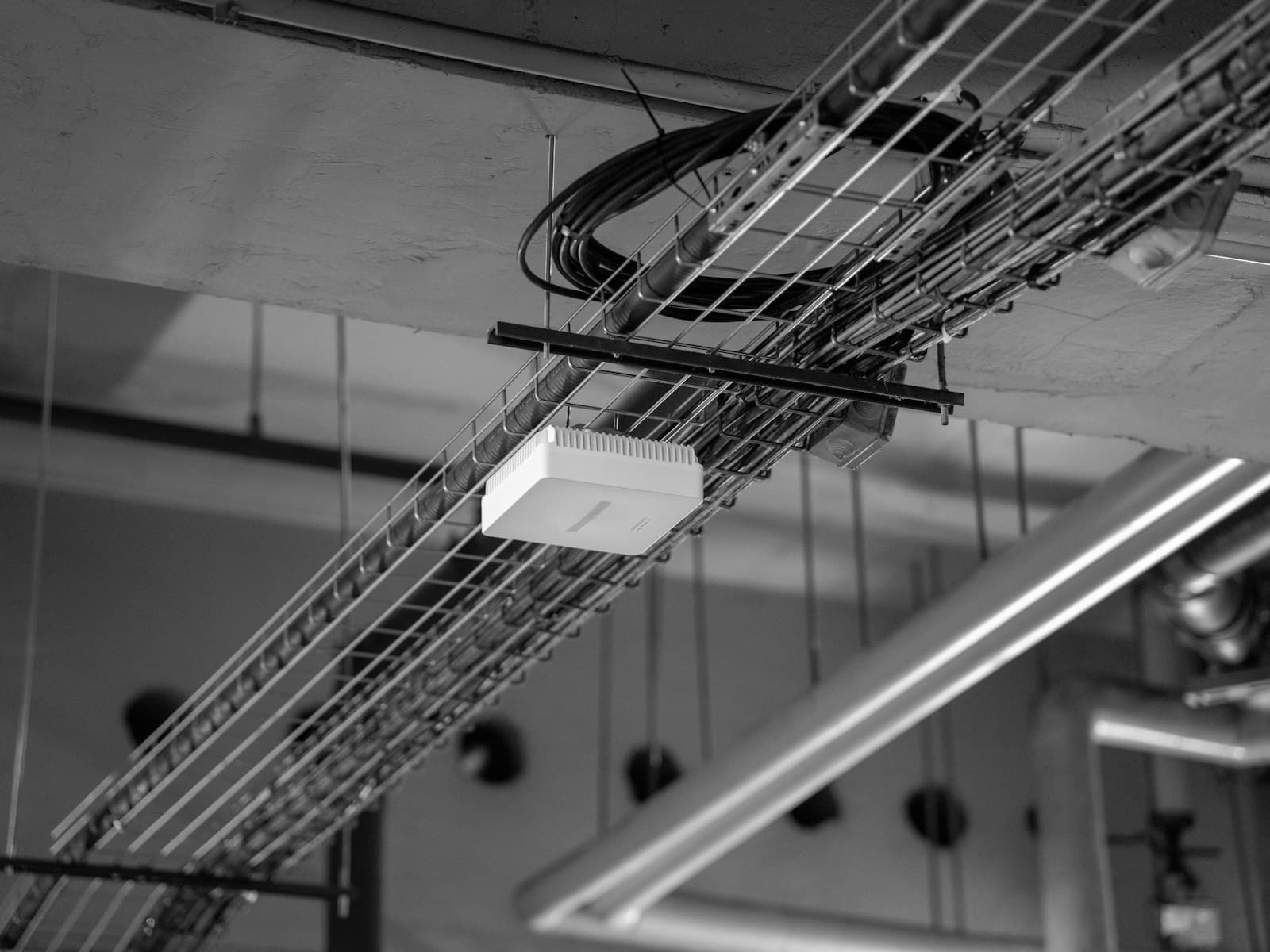 Cable trays and a network enclosure on a ceiling