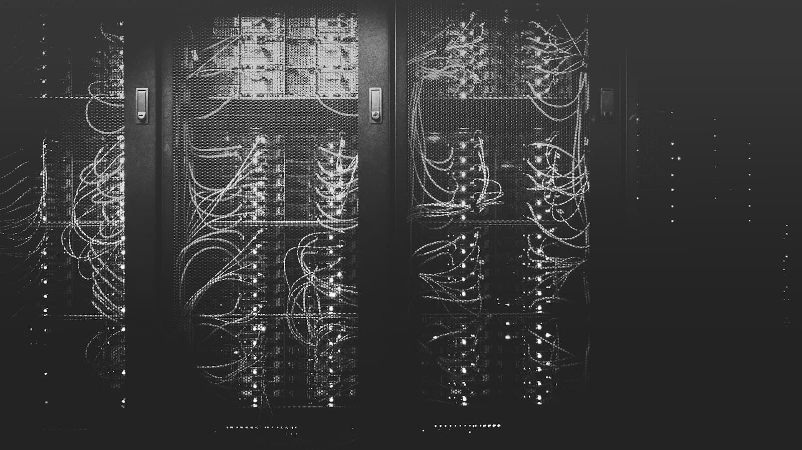 Network cables patched into a switch
