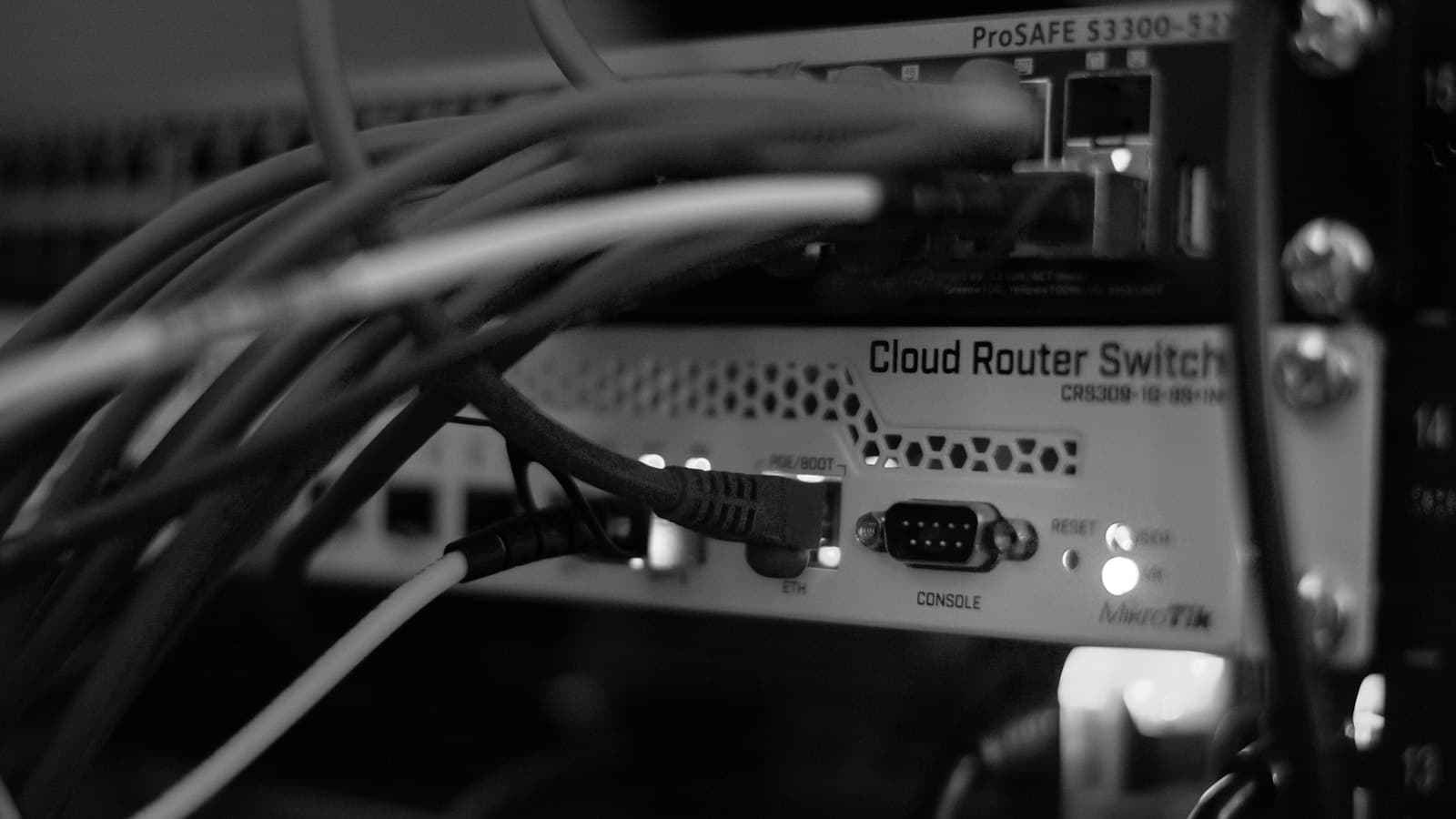 Ethernet cables plugged into a network switch