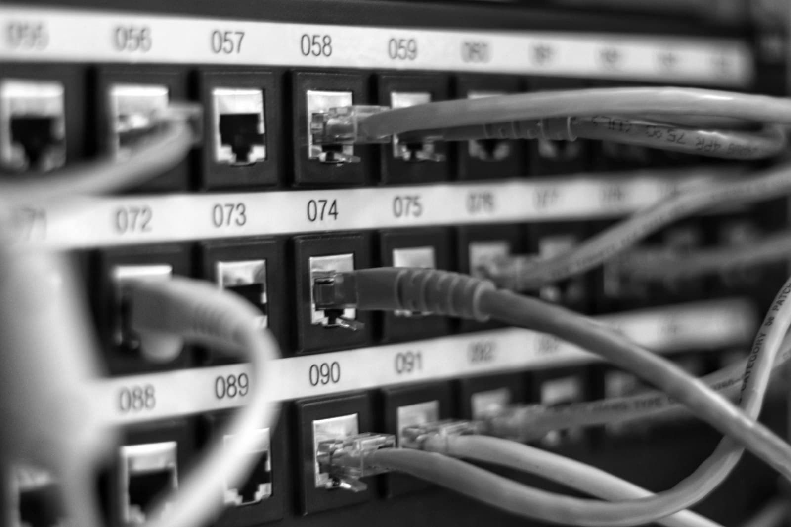 Close-up of an Ethernet patch cord